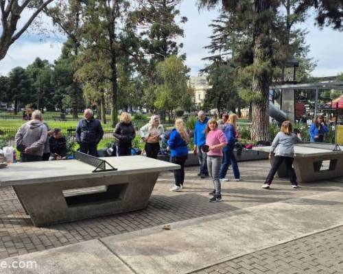 34420 1 Ping Pong venite a jugar y compartir un rato en Devoto
