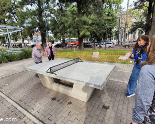 34420 10 Ping Pong venite a jugar y compartir un rato en Devoto