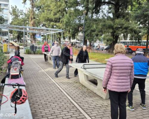34420 11 Ping Pong venite a jugar y compartir un rato en Devoto