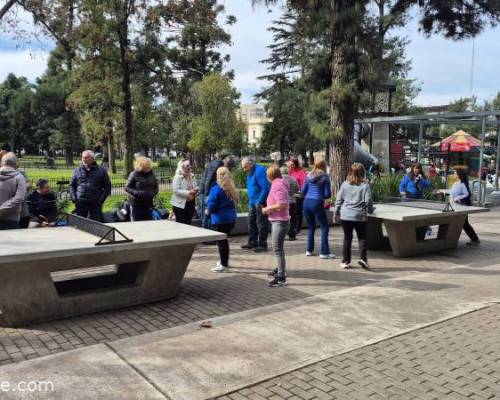 34420 2 Ping Pong venite a jugar y compartir un rato en Devoto