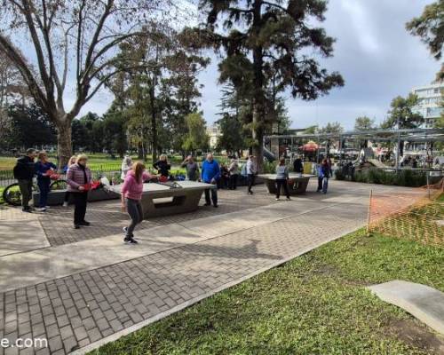 34420 5 Ping Pong venite a jugar y compartir un rato en Devoto