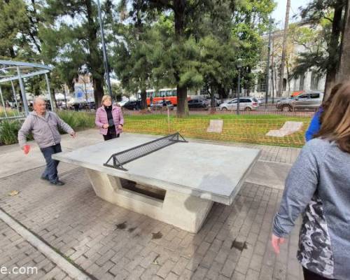 34420 9 Ping Pong venite a jugar y compartir un rato en Devoto