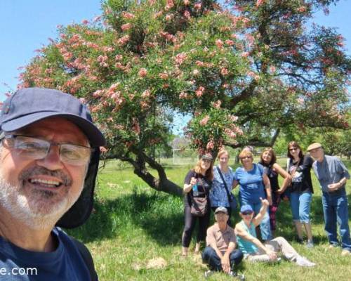 34553 34 EN  PRIMAVERA ... VOLVEMOS  A   FEDERACION¡¡¡¡¡¡¡