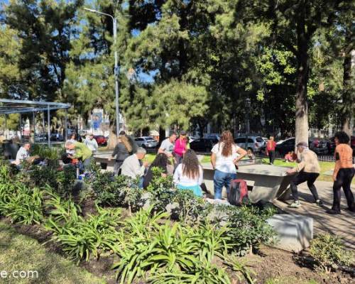 34563 10 Ping Pong venite a jugar y compartir un rato en Devoto