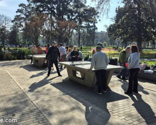 34563 12 Ping Pong venite a jugar y compartir un rato en Devoto