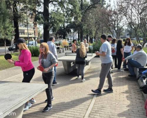 34563 2 Ping Pong venite a jugar y compartir un rato en Devoto