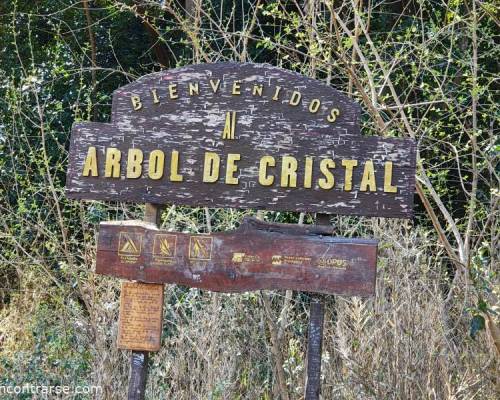 34600 1 VOLVEMOS A RECORRER EL SENDERO DEL PARQUE PEREYRA IRAOLA QUE NOS LLEVA HASTA EL TAN NOMBRADO 