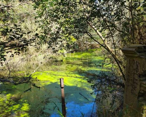 34600 11 VOLVEMOS A RECORRER EL SENDERO DEL PARQUE PEREYRA IRAOLA QUE NOS LLEVA HASTA EL TAN NOMBRADO 