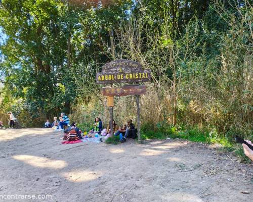 34600 2 VOLVEMOS A RECORRER EL SENDERO DEL PARQUE PEREYRA IRAOLA QUE NOS LLEVA HASTA EL TAN NOMBRADO 
