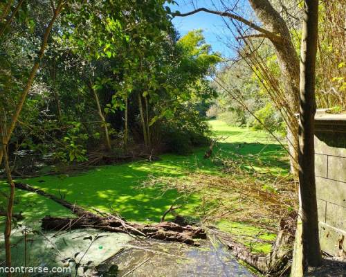34600 8 VOLVEMOS A RECORRER EL SENDERO DEL PARQUE PEREYRA IRAOLA QUE NOS LLEVA HASTA EL TAN NOMBRADO 