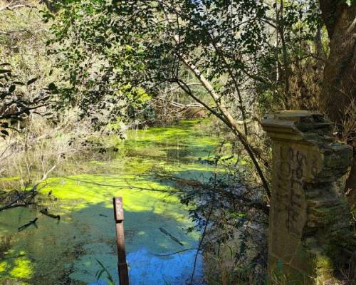 34600 9 VOLVEMOS A RECORRER EL SENDERO DEL PARQUE PEREYRA IRAOLA QUE NOS LLEVA HASTA EL TAN NOMBRADO 