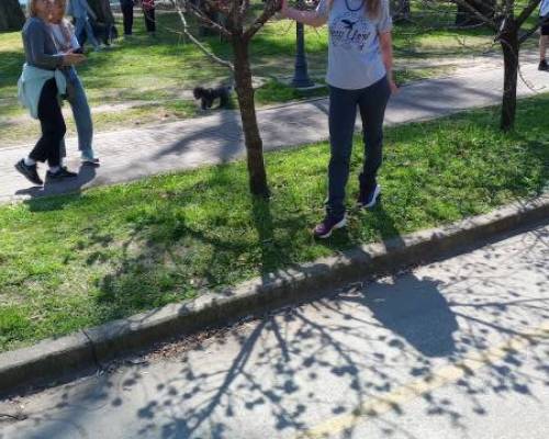 34782 10 PICNIC Entre Amigos en el Rosedal 