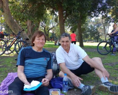 34782 5 PICNIC Entre Amigos en el Rosedal 