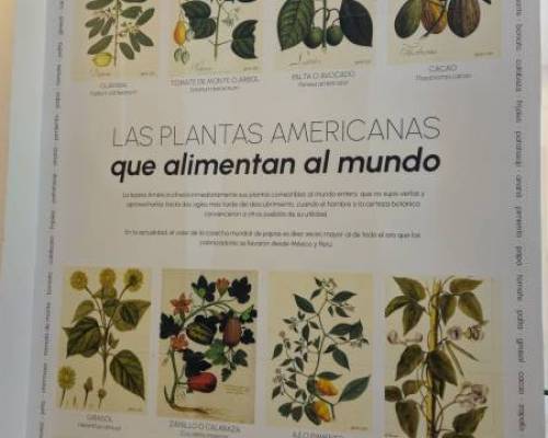 34846 8 VERDE  + VERDE en el BOTANICO y no muerde !!!!!!