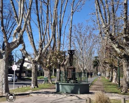 34878 10 Caminar, conectar y conocernos