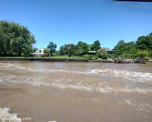 34986 14 ASADO TIGRE Y LANCHA juegos risas sol CHA CHA RA !!!!!!