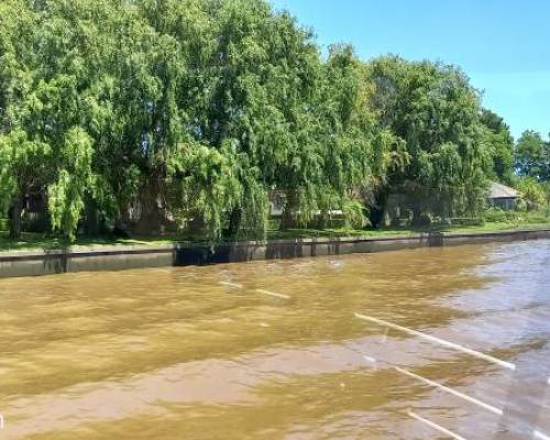 34986 8 ASADO TIGRE Y LANCHA juegos risas sol CHA CHA RA !!!!!!