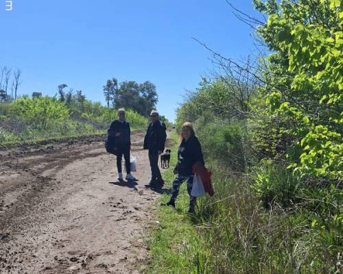 34995 10 Día de Campo en Carlos Keen!!