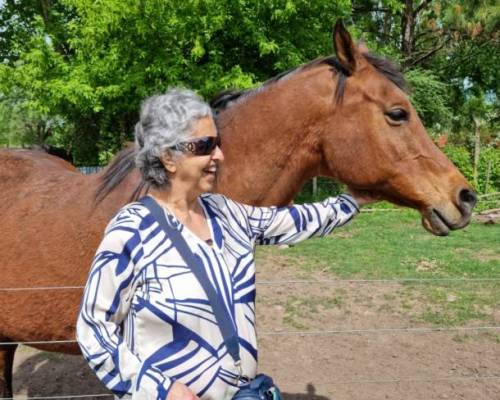35006 1 Excursion en URIBELARREA   . SHOW, ALMUERZO, BAILE, DESAYUNO, TRANSPORTE,ALMUERZO Y MERIENDA