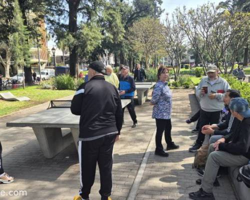 35066 1 Ping Pong venite a jugar y compartir un rato en Devoto