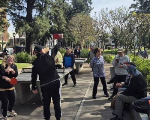 35066 4 Ping Pong venite a jugar y compartir un rato en Devoto