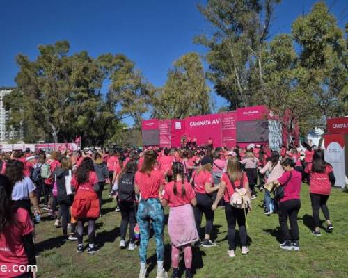 35133 5 CAMINATA AVON POR LA LUCHA CONTRA EL CANCER DE MAMA
