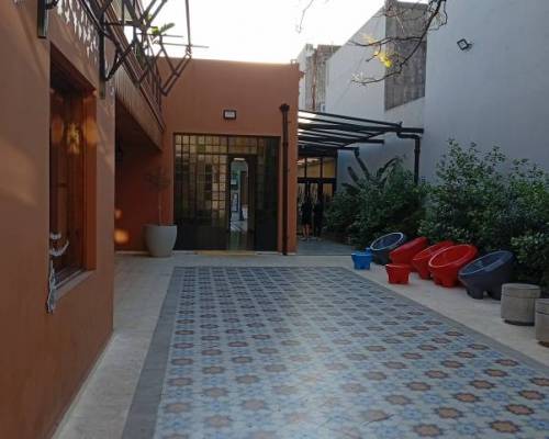 35164 12 Caminata y cafecito