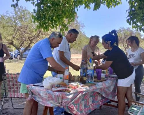 35271 3 Asadito en el Camping San Martin 