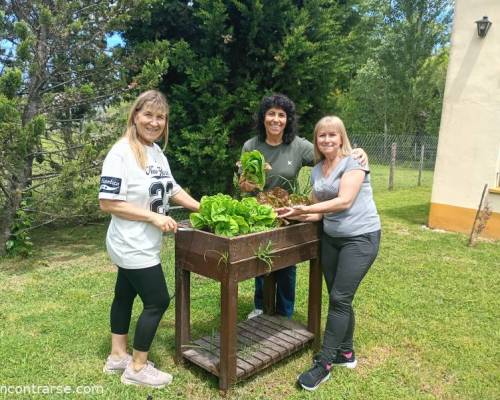 Cosechando la futura ensalada con Edith y Marisu. Organico 100%. Otro sabor :Encuentro Grupal Día de Campo en Carlos Keen!!