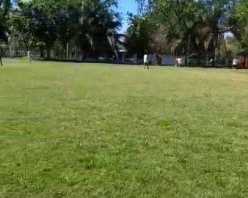 35350 5 FUTBOL  AMATEUR  CANCHA DE 11  