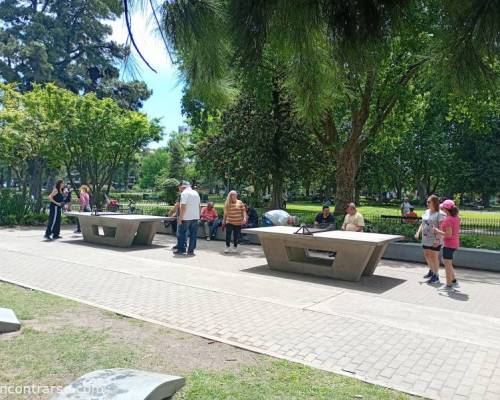 35438 6 PIMPONEAMOS EN VILLA DEVOTO