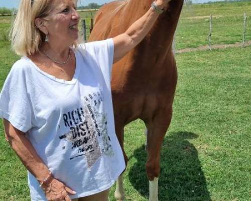 35518 1 Día de Campo en Carlos Keen!!