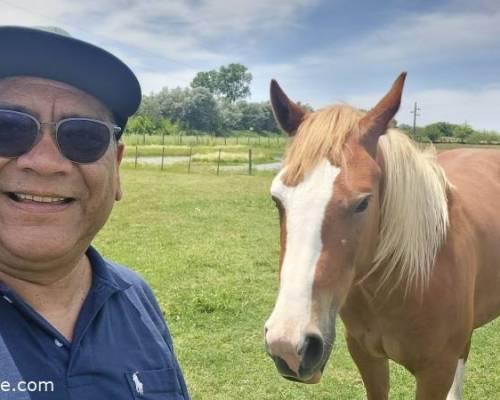 35518 5 Día de Campo en Carlos Keen!!