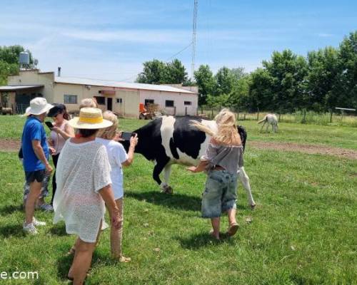 35518 6 Día de Campo en Carlos Keen!!