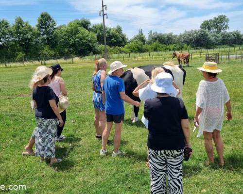 35518 7 Día de Campo en Carlos Keen!!