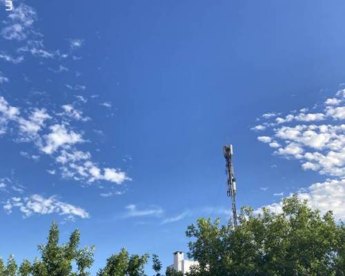 35538 14 JUEGO, CHARLA Y MERIENDA