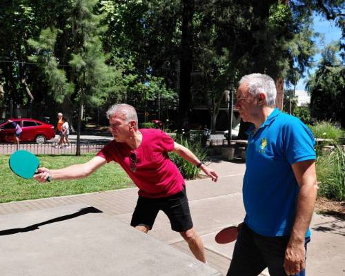 35542 9 Ping Pong venite a jugar y compartir un rato en Devoto