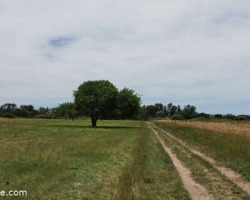 Hermosa foto @MJORGE :Encuentro Grupal TURISMO RURAL, DIA DE CAMPO Y BRINDIS FIN DE AÑO.