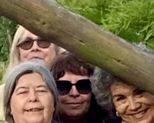 35599 81 TURISMO RURAL, DIA DE CAMPO Y BRINDIS FIN DE AÑO.