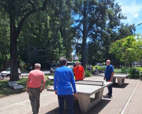35610 1 Ping Pong venite a jugar y compartir un rato en Devoto