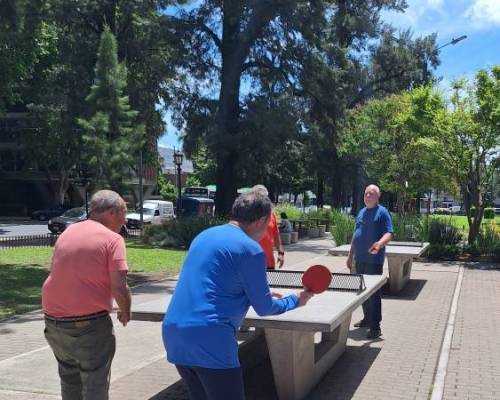35610 3 Ping Pong venite a jugar y compartir un rato en Devoto