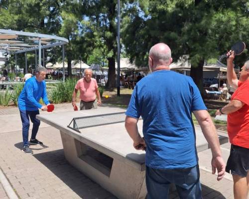 35610 5 Ping Pong venite a jugar y compartir un rato en Devoto