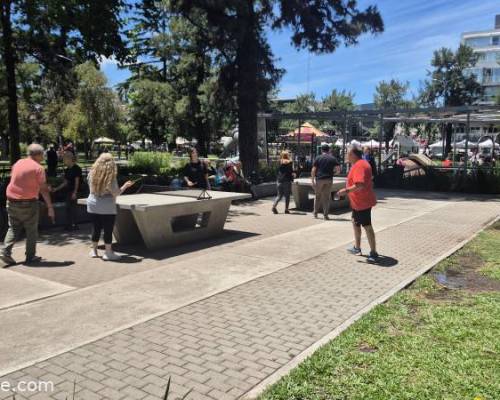 35610 6 Ping Pong venite a jugar y compartir un rato en Devoto