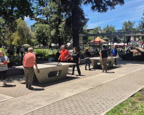 35610 8 Ping Pong venite a jugar y compartir un rato en Devoto