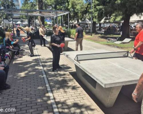 35610 9 Ping Pong venite a jugar y compartir un rato en Devoto