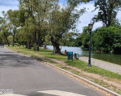 35697 3 CAMINATA POR EL LAGO REGATAS