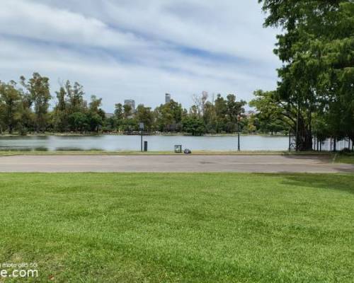 35697 5 CAMINATA POR EL LAGO REGATAS