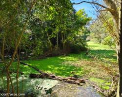 VOLVEMOS A RECORRER EL SENDERO DEL PARQUE PEREYRA IRAOLA QUE NOS LLEVA HASTA EL TAN NOMBRADO "ARBOL DE CRISTAL"