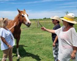 Día de Campo en Carlos Keen!!