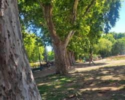 Vení a elongarte, flexibilizarte íntegramente.trabajar articulaciones  ,columna vertebral .Tonificante ,con el excelente maestro Aldo von Landesen .